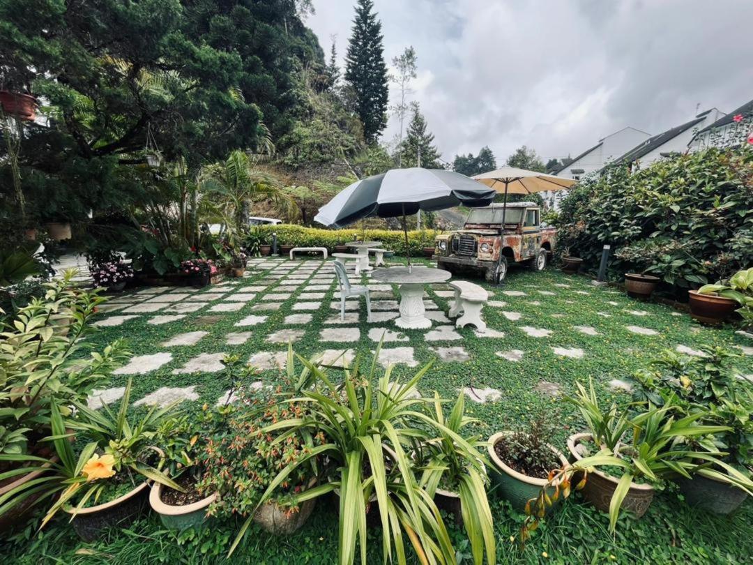 Big Dreams Garden Stay Tanah Rata Exteriör bild